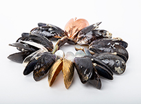 J*S Jasbir Sandhu / J*S Wearable Art